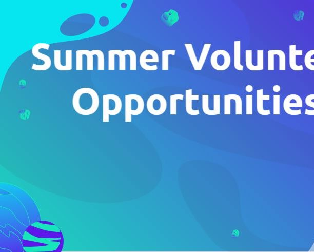 Summer Volunteer Opportunities